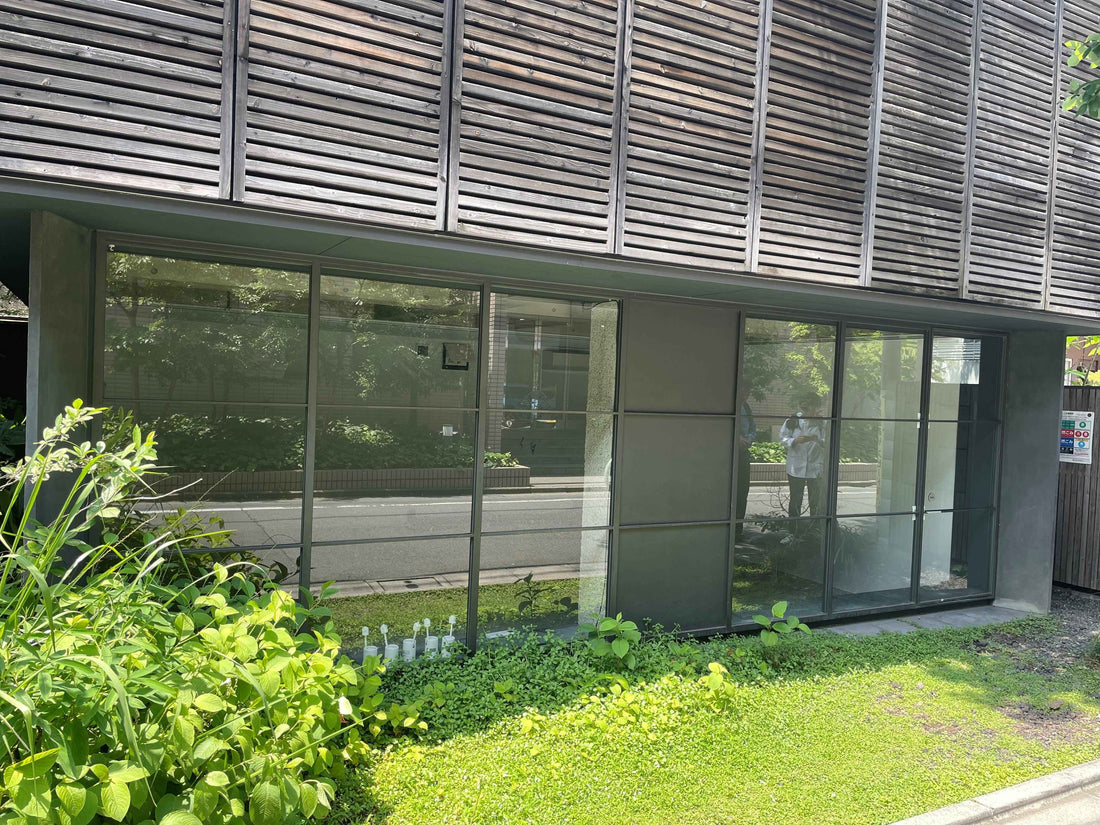 Green store from CONTÉVANOU